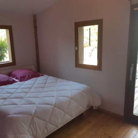 Charmant Appartement Vue Sur La Riviere. Albi Eksteriør billede