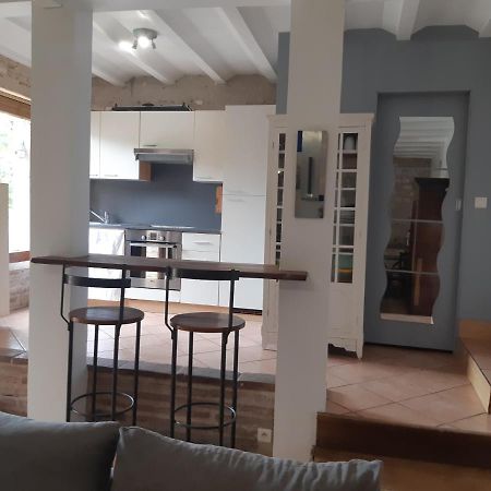 Charmant Appartement Vue Sur La Riviere. Albi Eksteriør billede