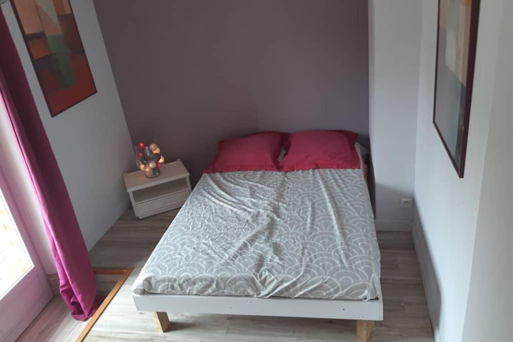Charmant Appartement Vue Sur La Riviere. Albi Eksteriør billede
