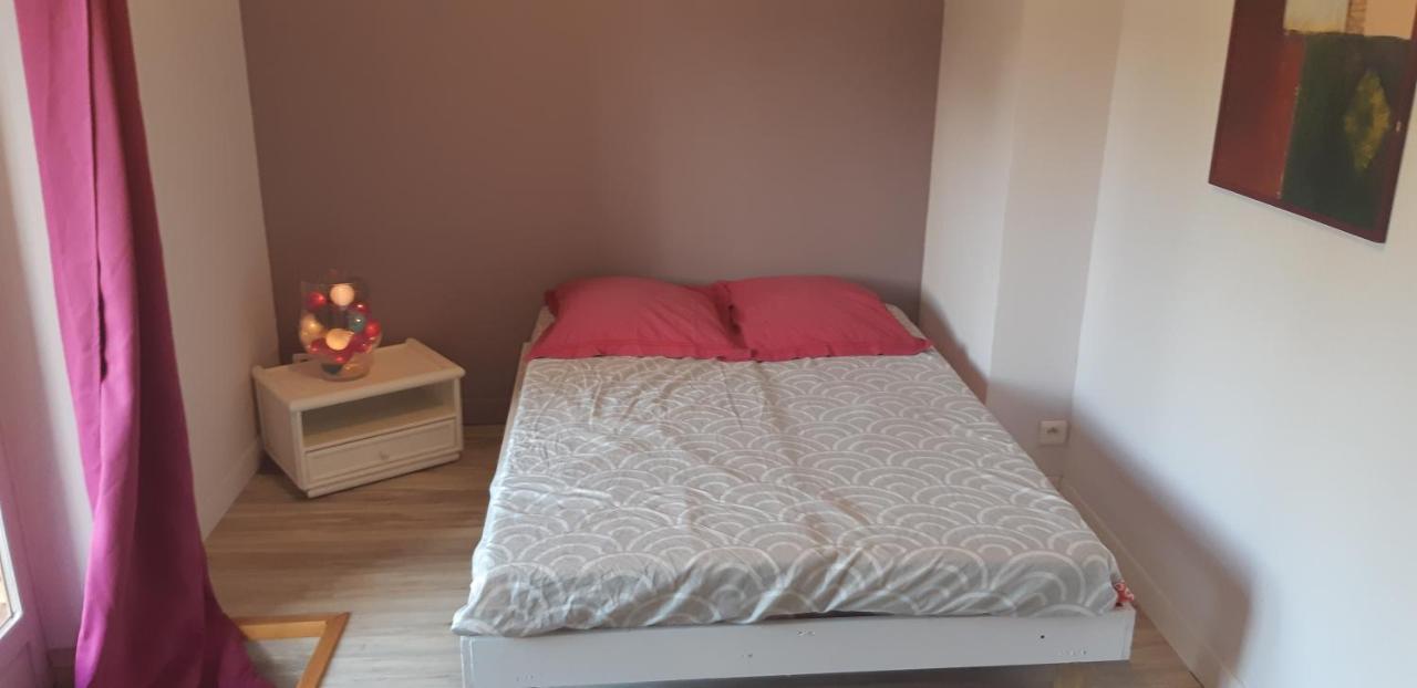 Charmant Appartement Vue Sur La Riviere. Albi Eksteriør billede