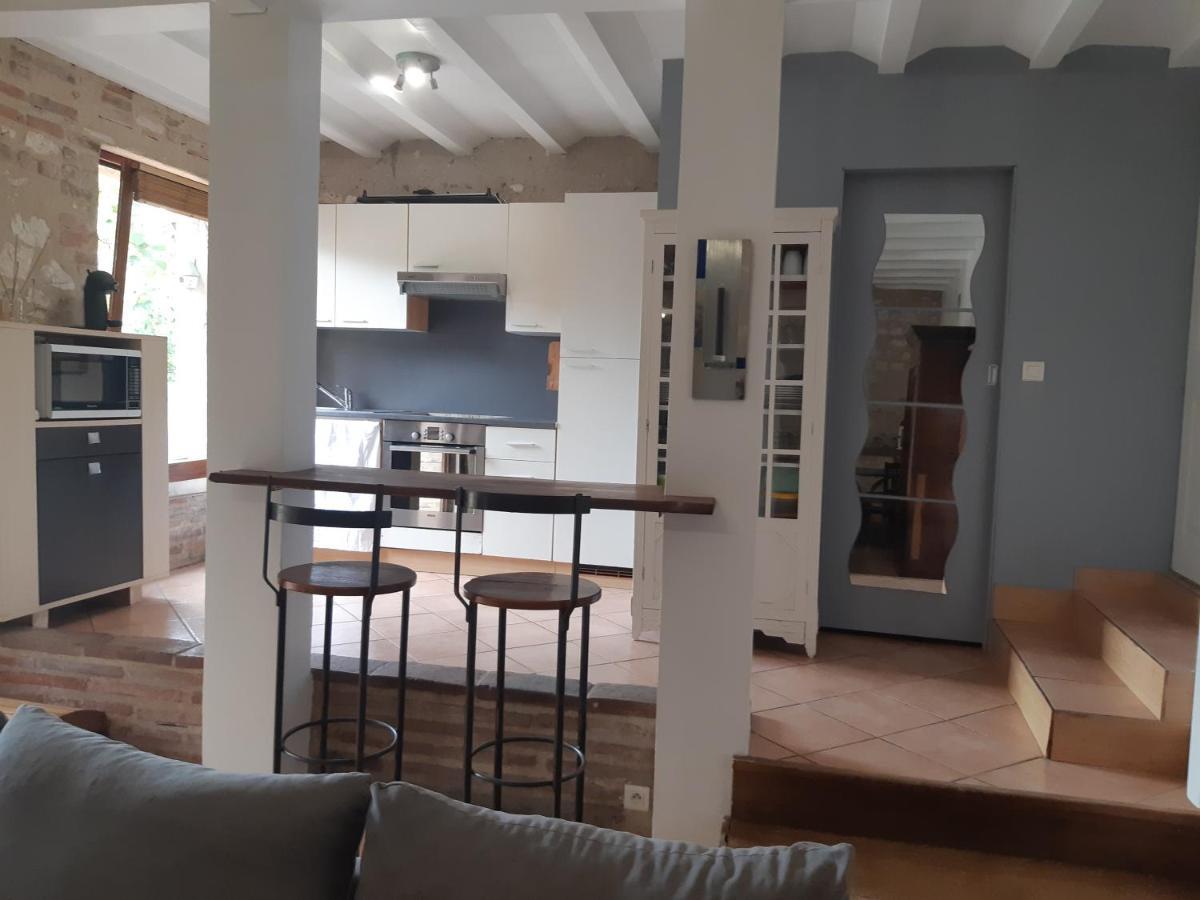 Charmant Appartement Vue Sur La Riviere. Albi Eksteriør billede