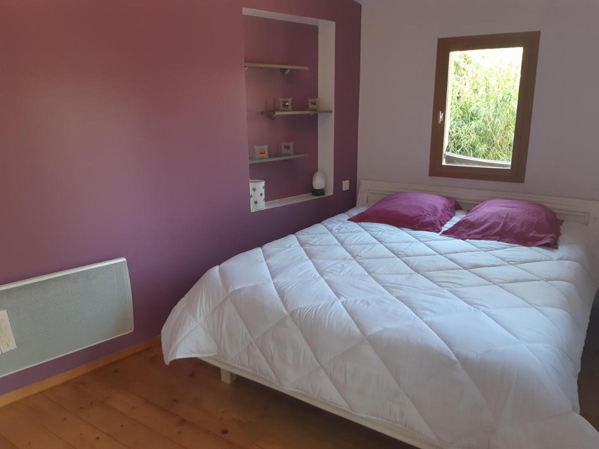 Charmant Appartement Vue Sur La Riviere. Albi Eksteriør billede