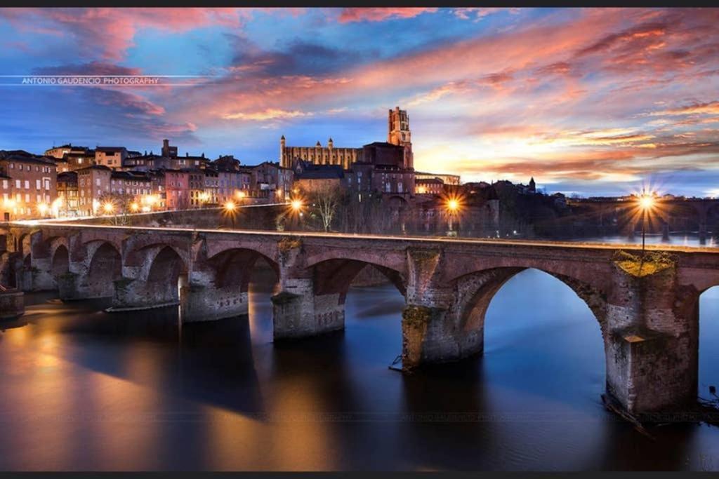 Charmant Appartement Vue Sur La Riviere. Albi Eksteriør billede