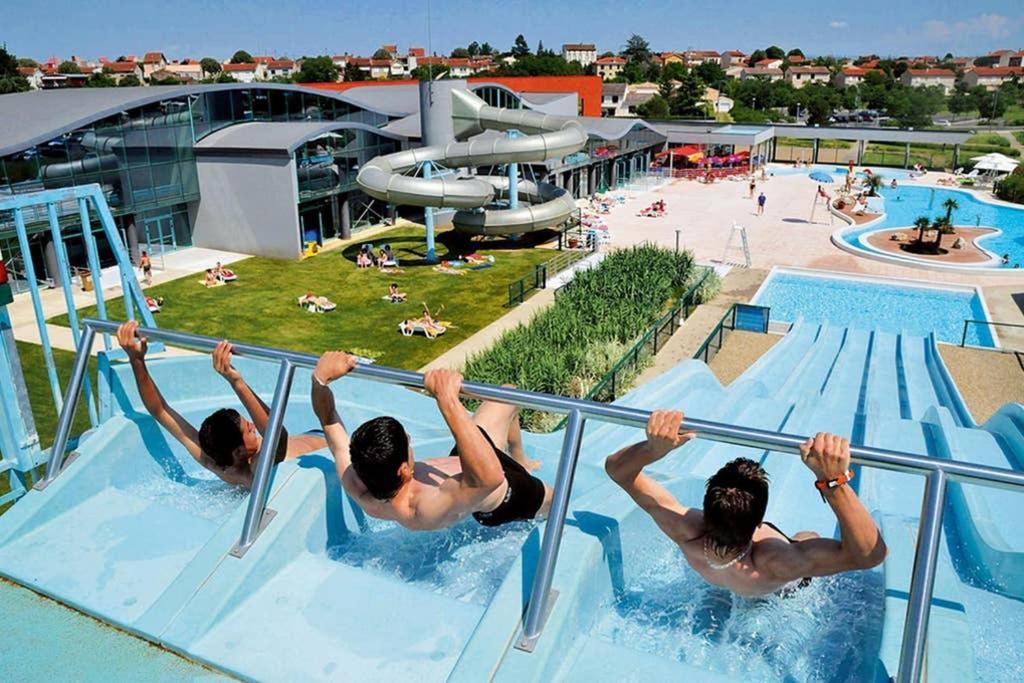 Charmant Appartement Vue Sur La Riviere. Albi Eksteriør billede