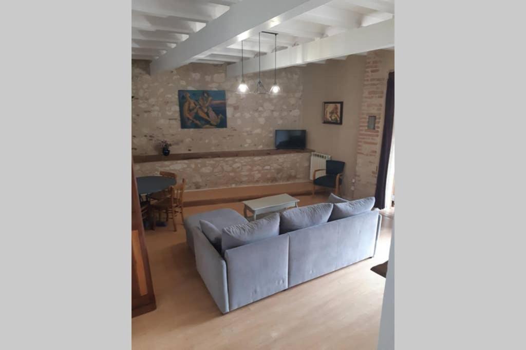 Charmant Appartement Vue Sur La Riviere. Albi Eksteriør billede