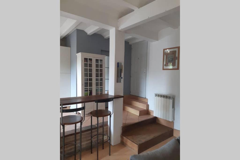 Charmant Appartement Vue Sur La Riviere. Albi Eksteriør billede