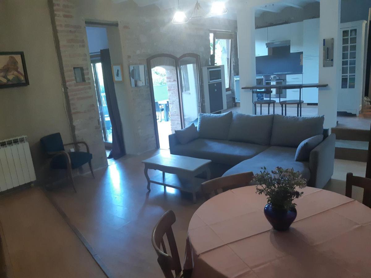 Charmant Appartement Vue Sur La Riviere. Albi Eksteriør billede