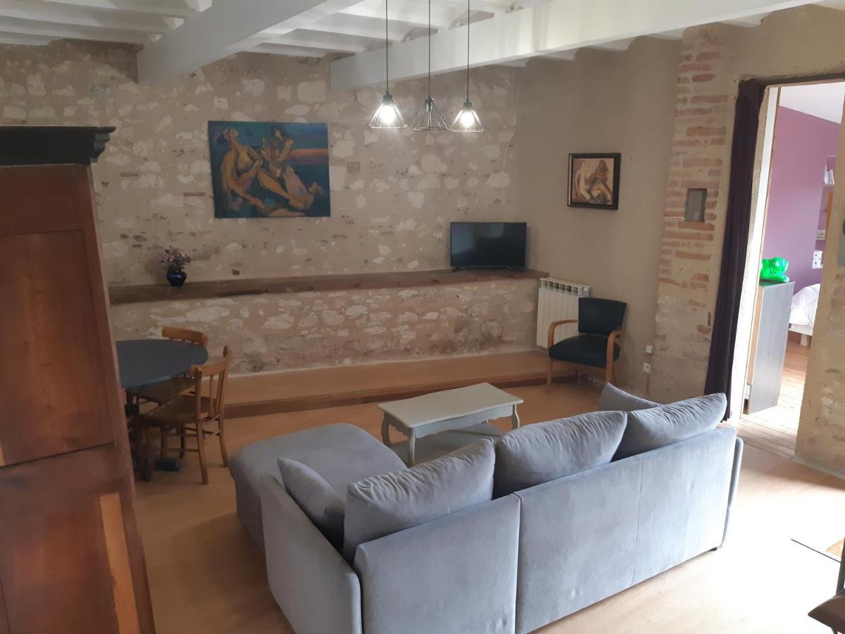 Charmant Appartement Vue Sur La Riviere. Albi Eksteriør billede
